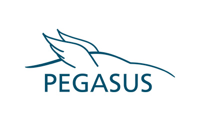 PEGASUS symposium