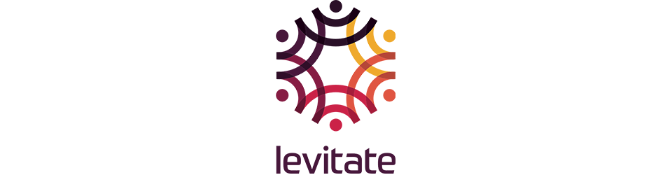 Webinar: Building a dialogue with the LEVITATE cities – the case of Vienna